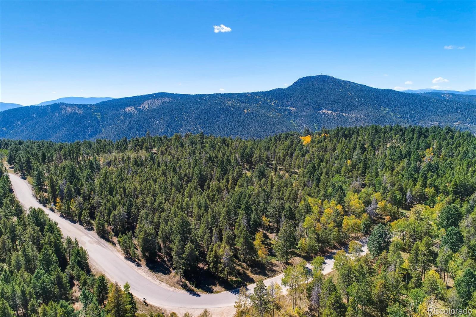 12171 South Ridge Road Conifer, CO 80433 - Photo 1 of 11 a view of a lush green field with a tree in the background