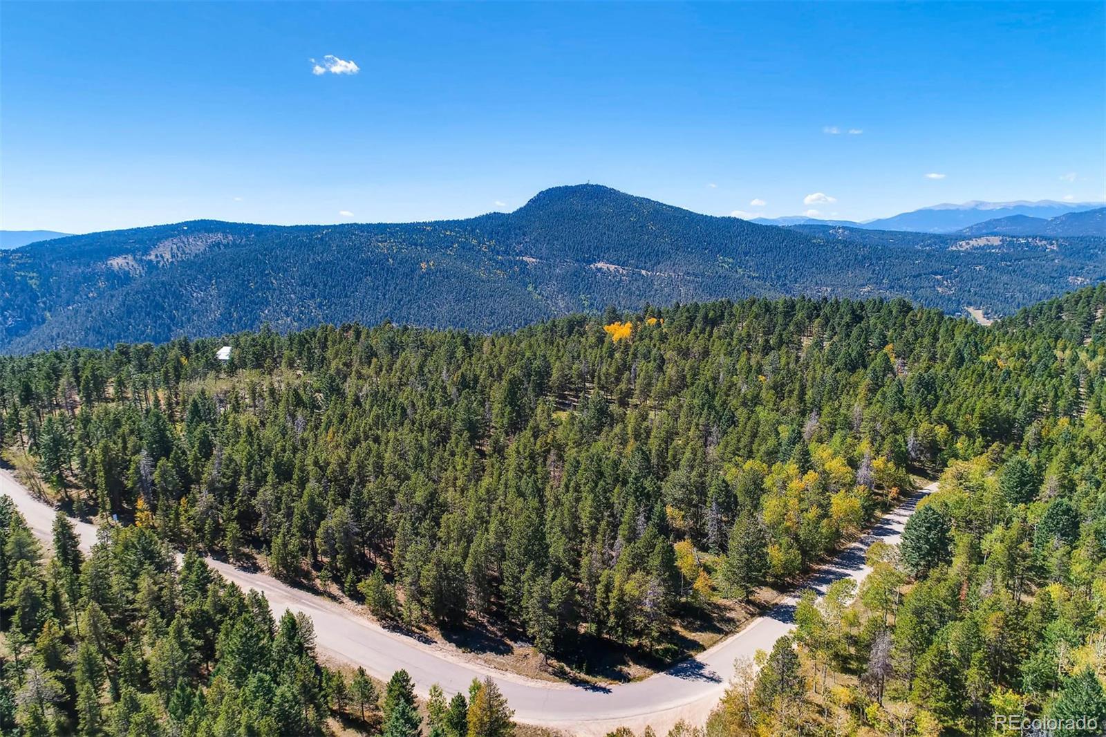 12171 South Ridge Road Conifer, CO 80433 - Photo 2 of 11 a view of a lush green field with lots of bushes