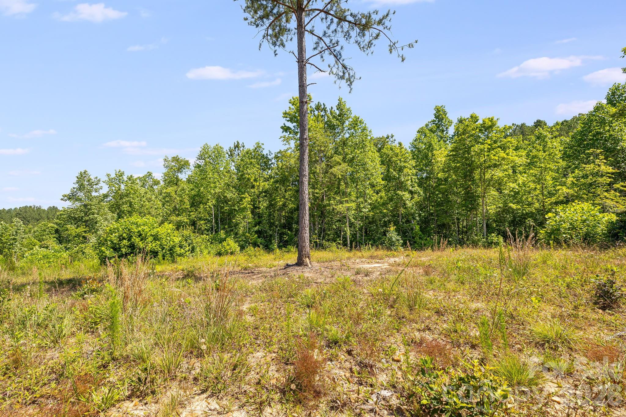 Lot #2 Clark Road Rutherfordton, NC 28139 - Photo 13 of 36