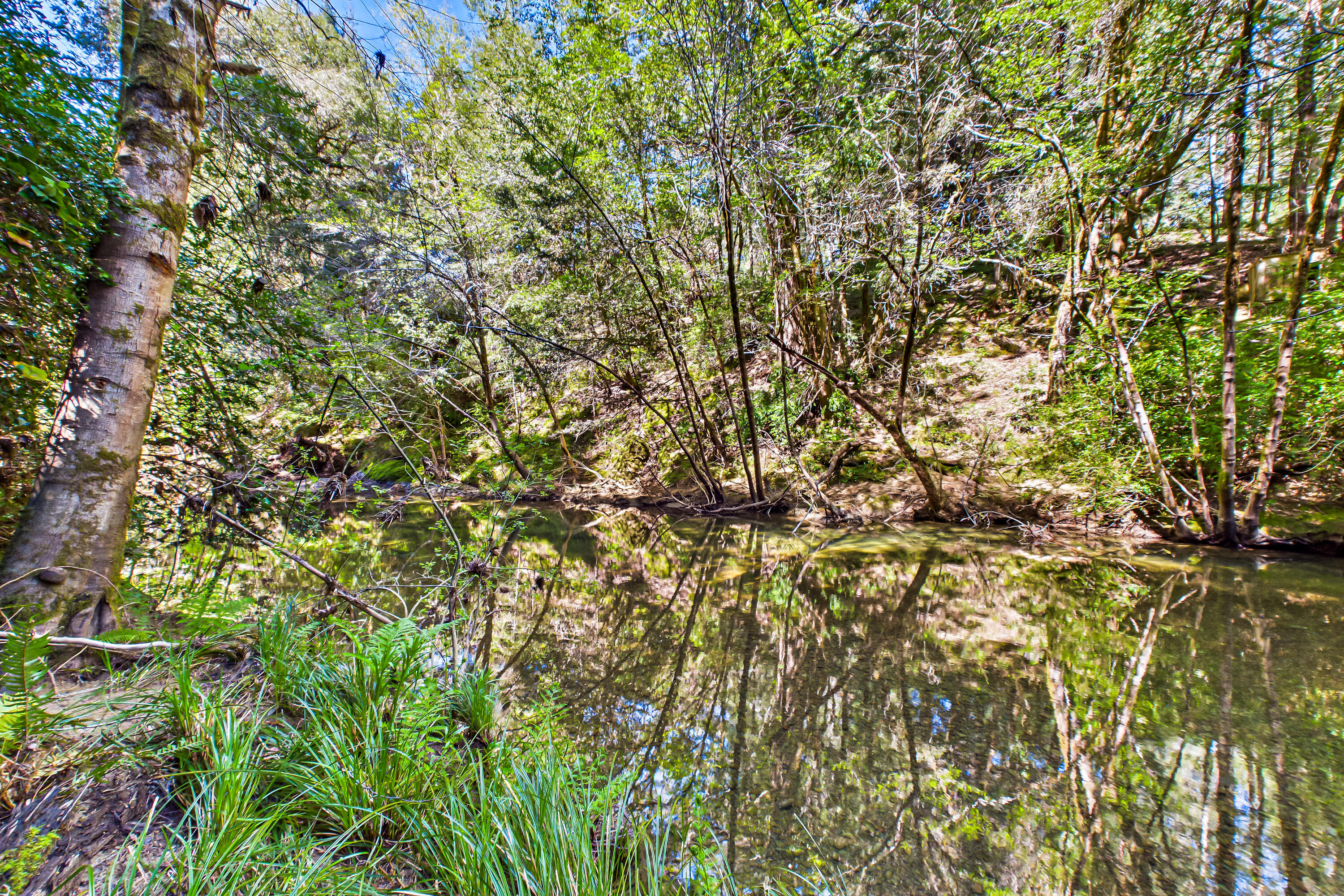 290 Green House Road Whitethorn, CA 95589 - Photo 67 of 73
