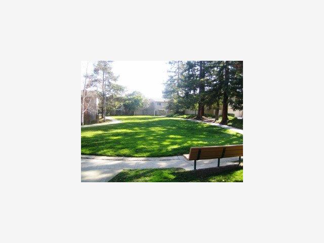 22971 Longdown Road Cupertino, CA 95014 - Photo 9 of 9 a picture of a bench in middle of garden