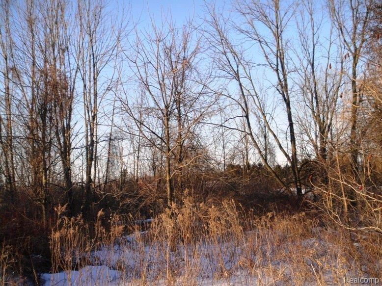 0 Five Five Mile Road Ann Arbor, MI 48105 - Photo 2 of 5 View of property2