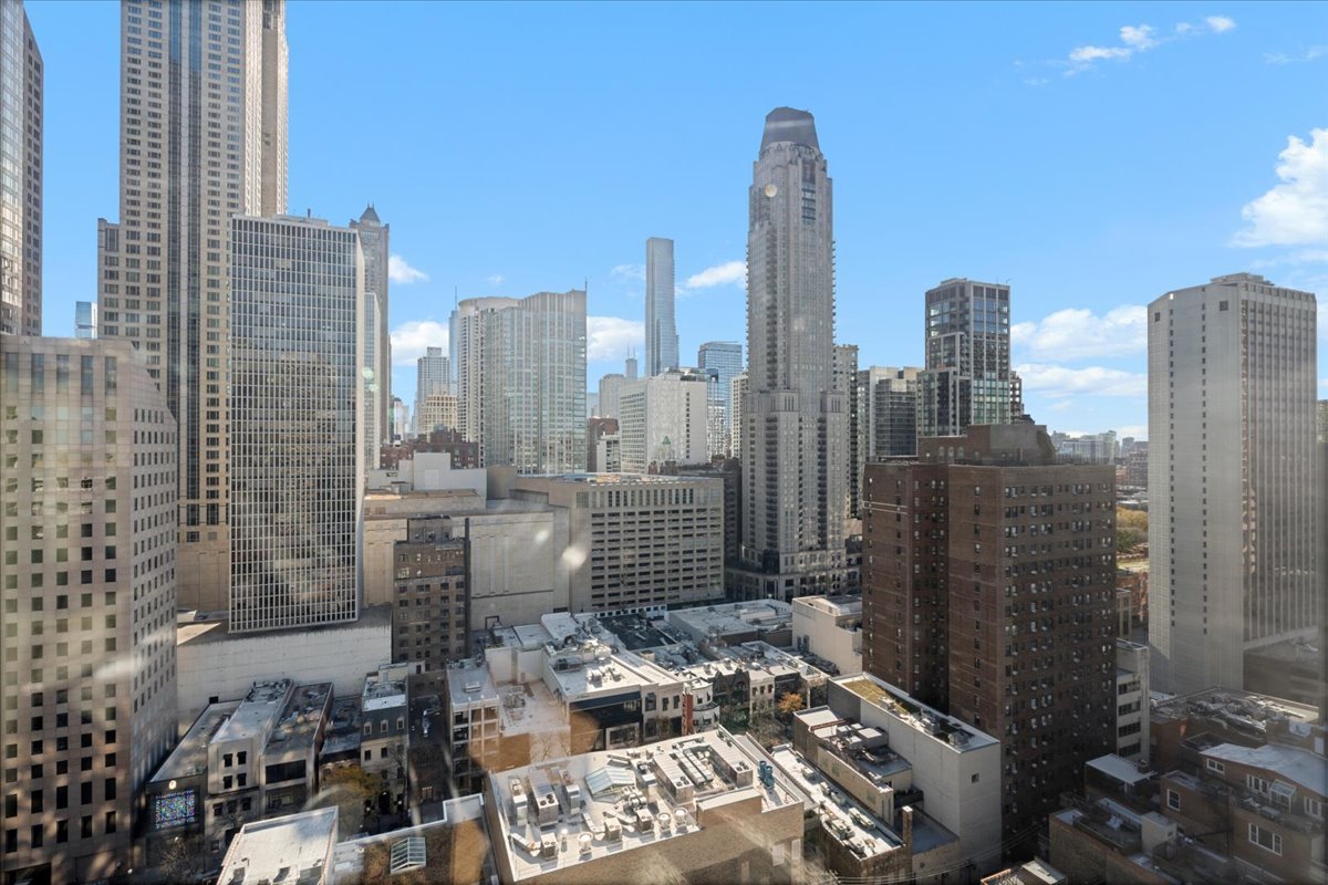 100 East Bellevue Place, Unit 25C Chicago, IL 60611 - Photo 20 of 24