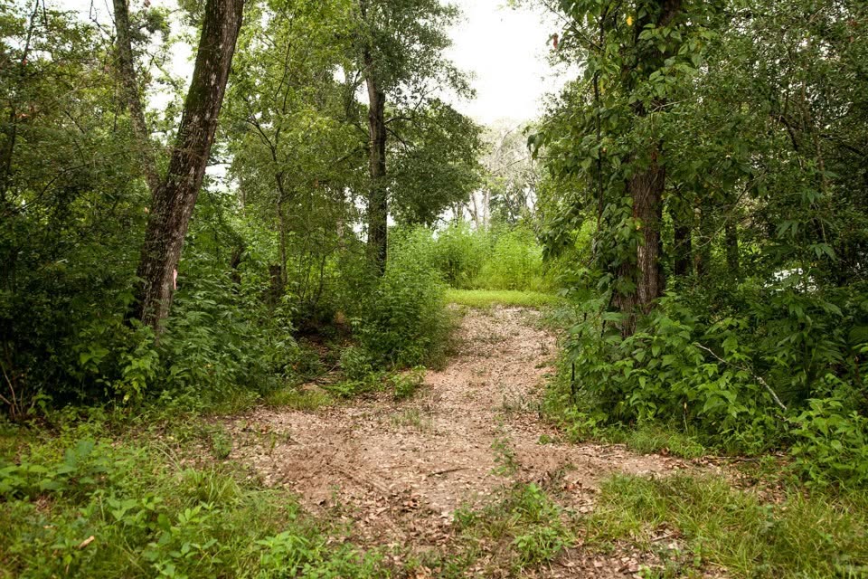 4342 Dobrovolny Road Bryan, TX 77807 - Photo 20 of 24 Trails that would need to be restored