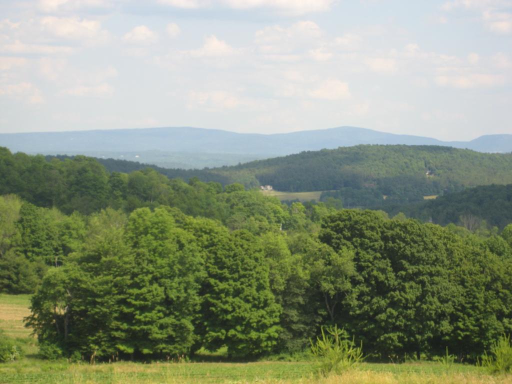 267 Brothers Road Hartland, VT 05048 - Photo 14 of 25 Gallery Image 14