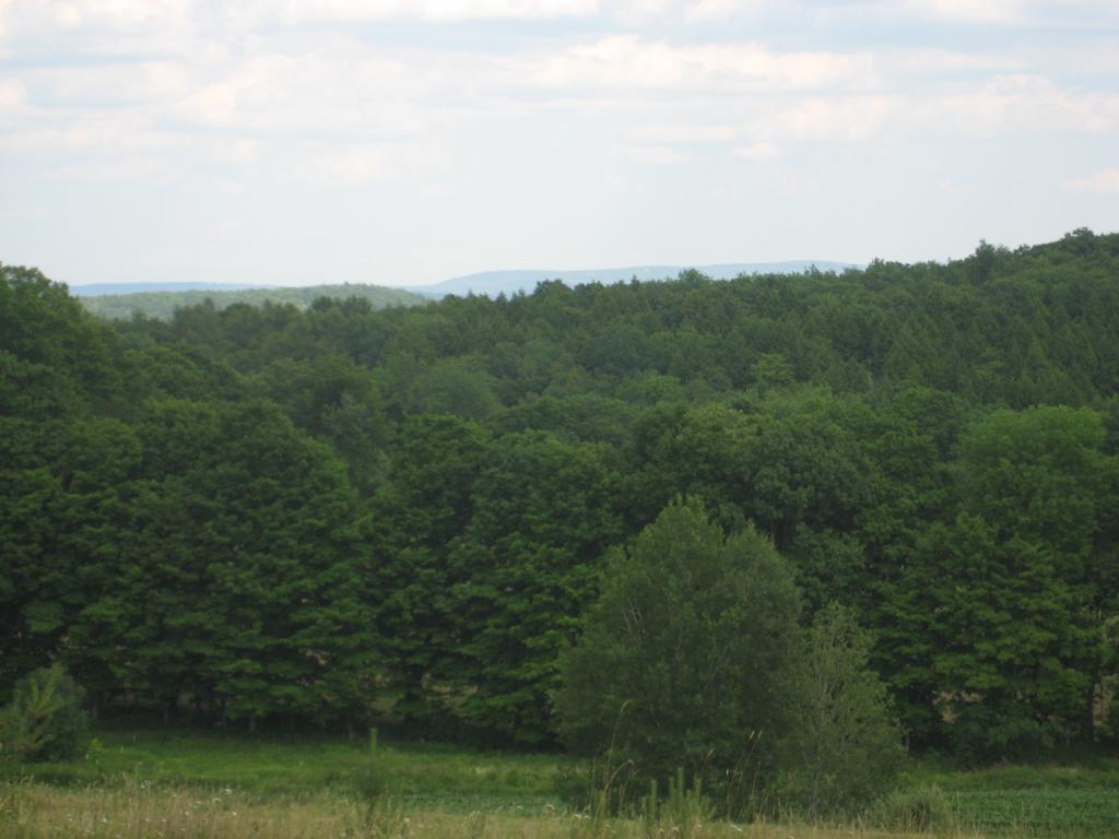 267 Brothers Road Hartland, VT 05048 - Photo 5 of 25 Gallery Image 5