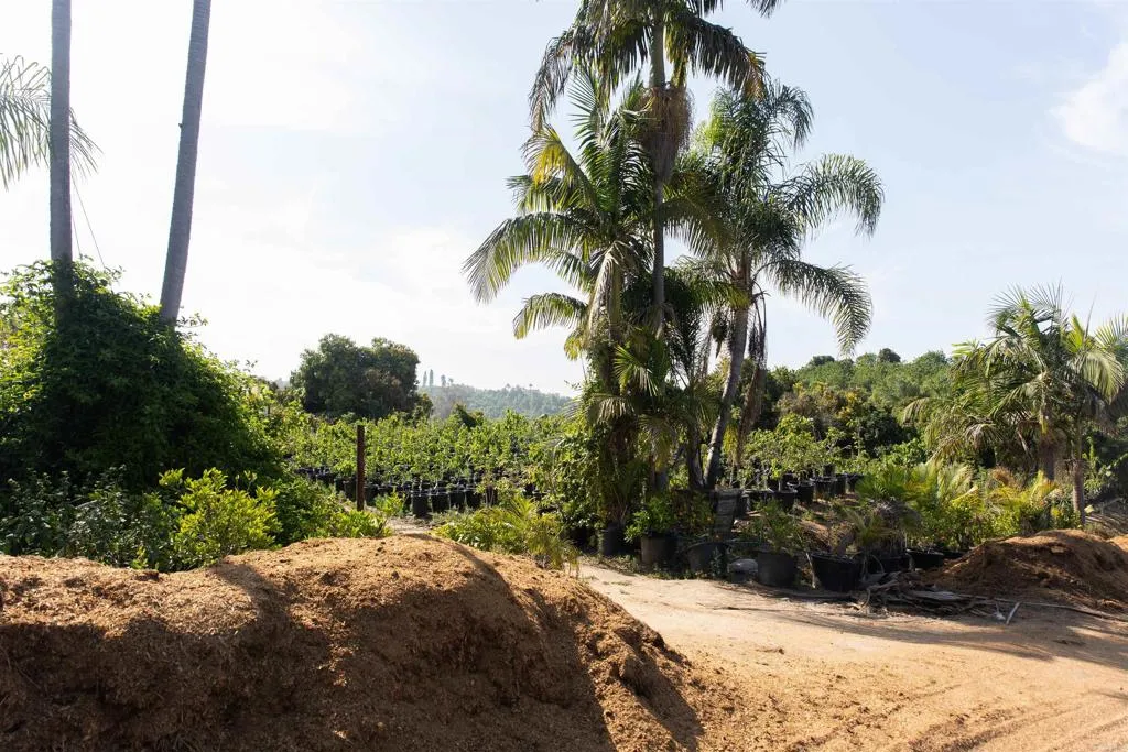 3129 Reche Fallbrook, CA 92028 - Photo 16 of 36 a view of backyard of a house