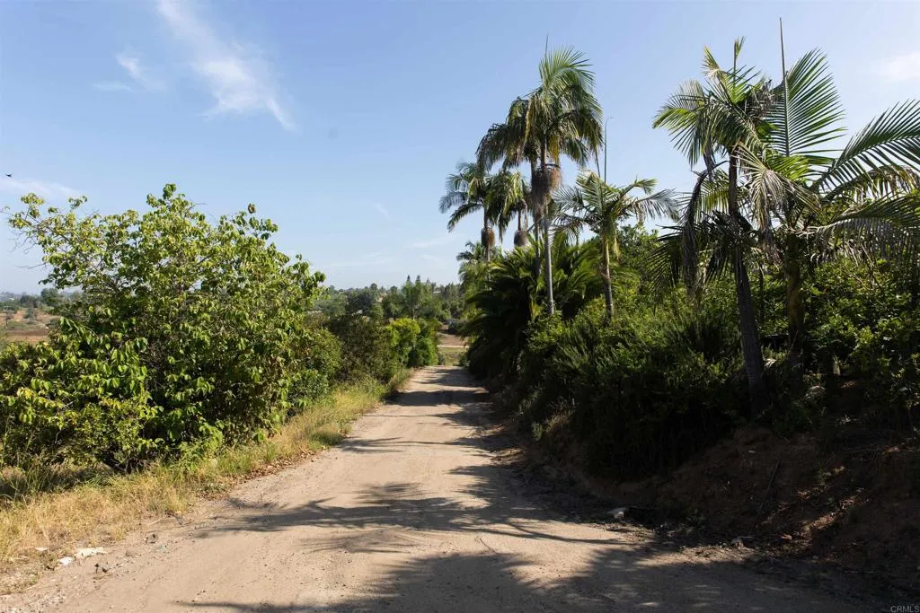 3129 Reche Fallbrook, CA 92028 - Photo 24 of 36 a view of a yard with plants and trees