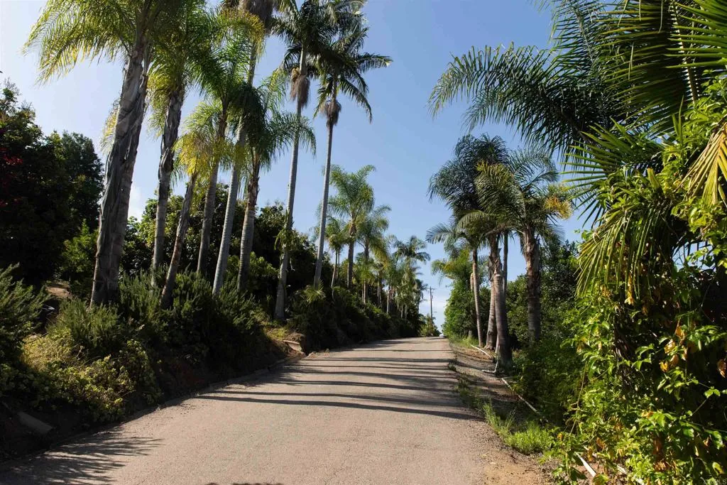 3129 Reche Fallbrook, CA 92028 - Photo 28 of 36 a view of a backyard
