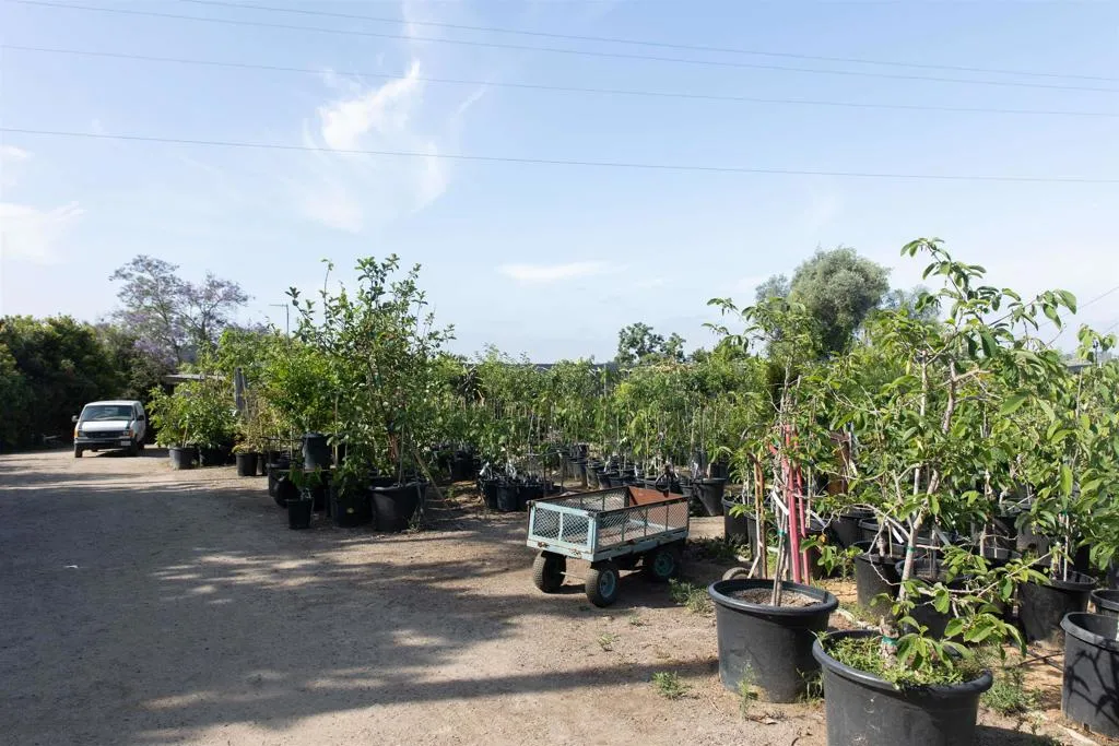 3129 Reche Fallbrook, CA 92028 - Photo 3 of 36 a car parked on the side of the road