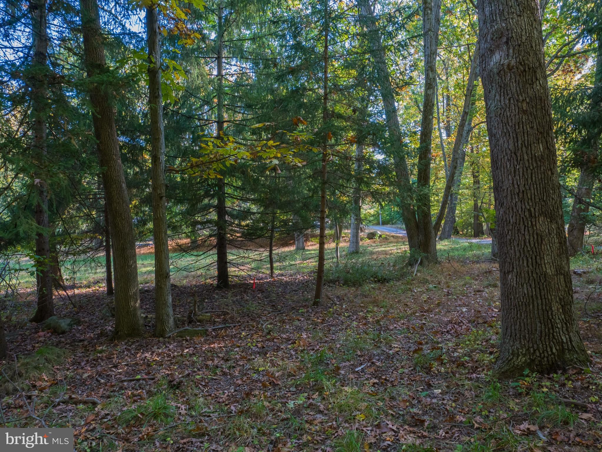 4729 Sheeprock Road Macungie, PA 18062 - Photo 3 of 9 Gallery Image 3