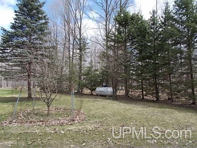 159 Deer Lake Road Crystal Falls, MI 49920 - Photo 14 of 16