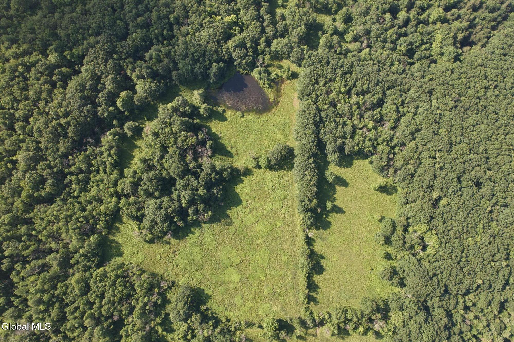 L-11 Earls Road Middleburgh, NY 12122 - Photo 15 of 15 DE0E71EB-127A-4F13-B72D-46818B197F88-DJI
