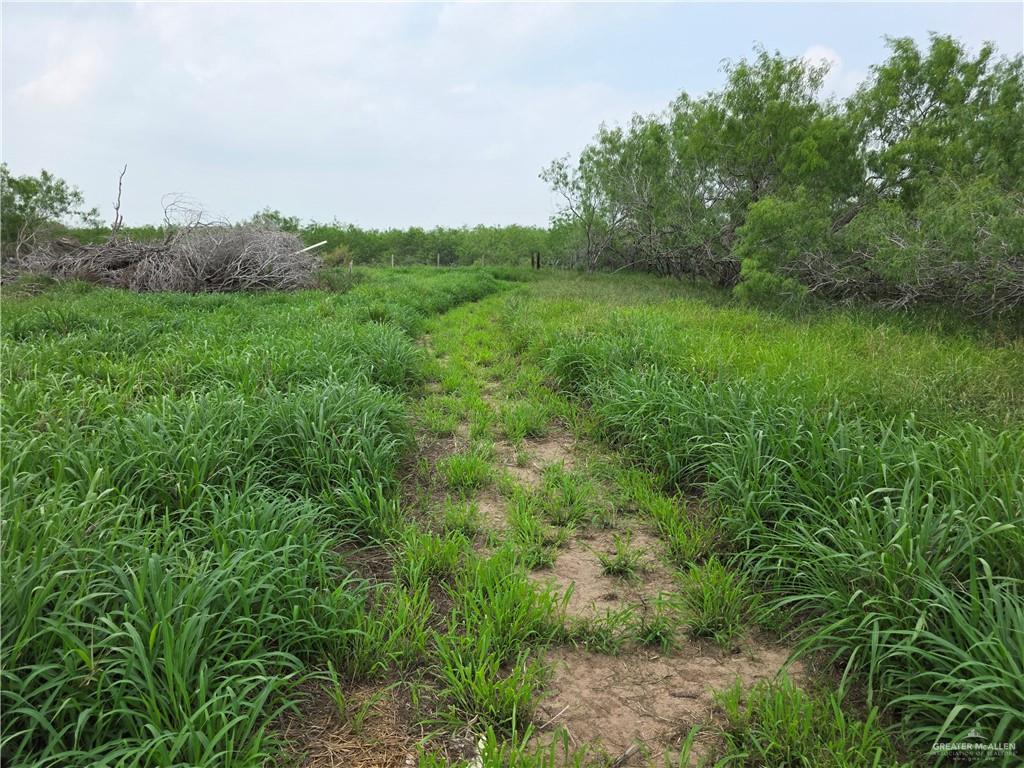 8254 East Monte Cristo Road Edcouch, TX 78538 - Photo 5 of 5