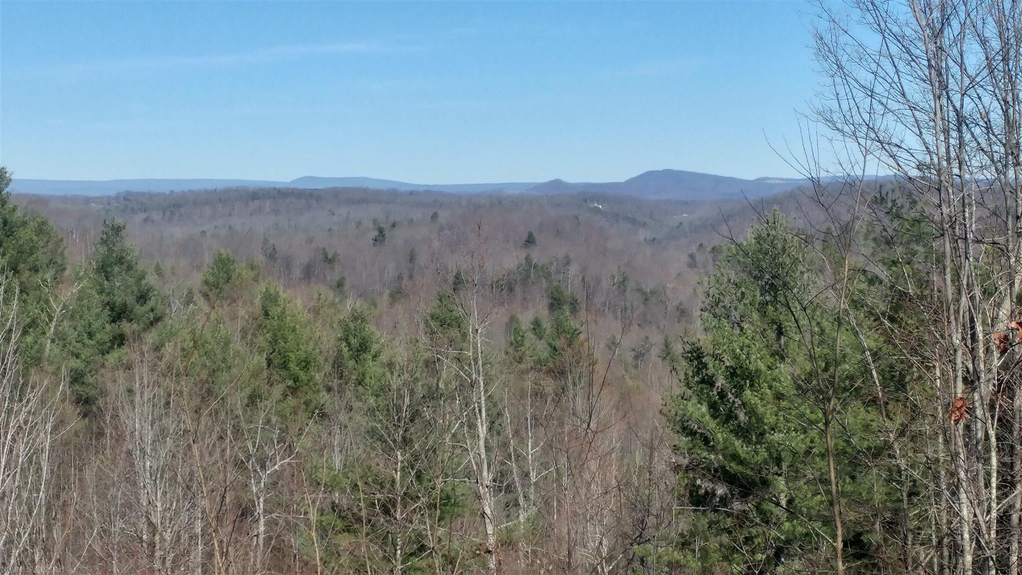 Lot 4-5 Fishers View Road Shawsville, VA 24162 - Photo 20 of 26 Gallery Image 20