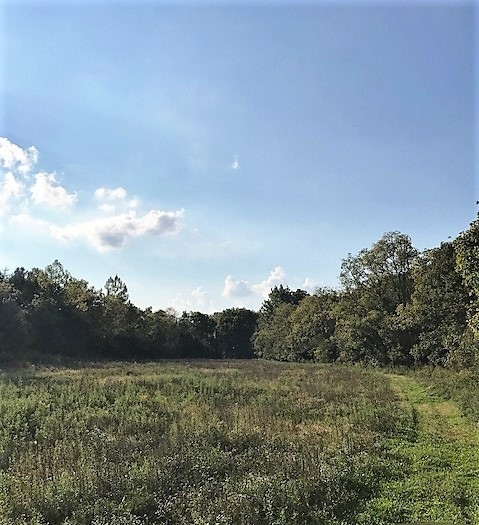 103-acres Sipple Road Dry Ridge, KY 41035 - Photo 19 of 21