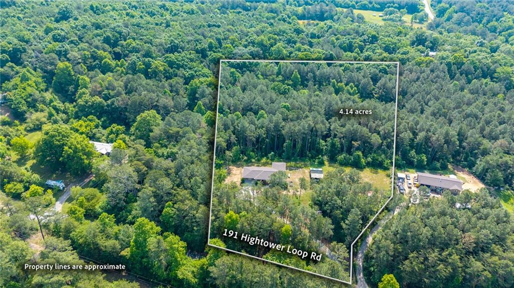 191 Hightower Loop Road Ranger, GA 30734 - Photo 4 of 38
