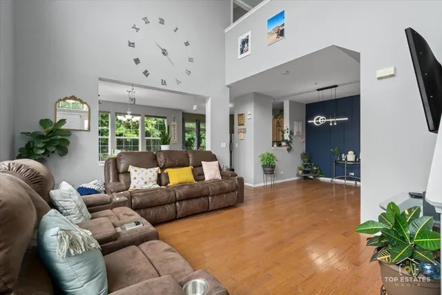 a living room with furniture potted plant and a large window