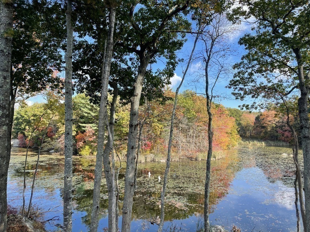 69 Canton Point Road, Unit 69 Canton, MA 02021 - Photo 31 of 39
