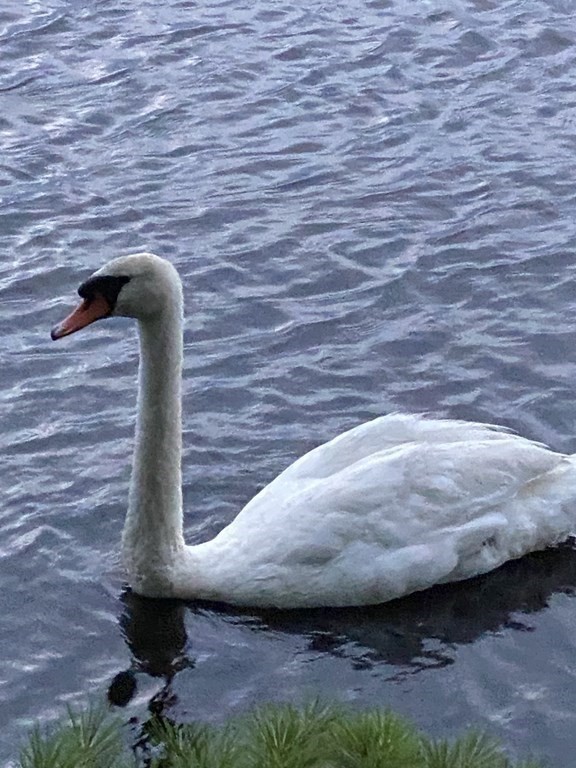 69 Canton Point Road, Unit 69 Canton, MA 02021 - Photo 39 of 39