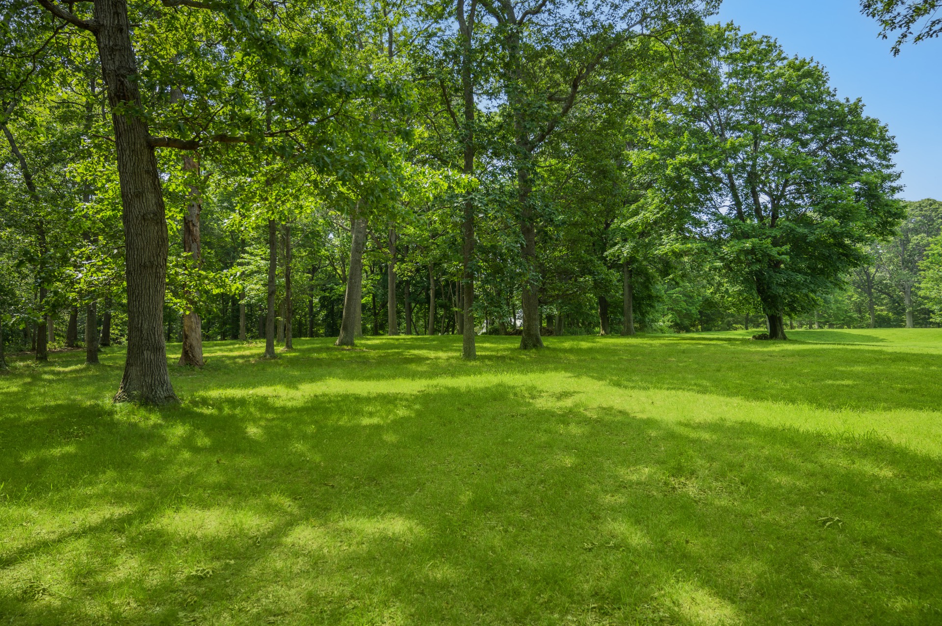 31 Manhanset Road Dering Harbor, NY 11964 - Photo 8 of 18