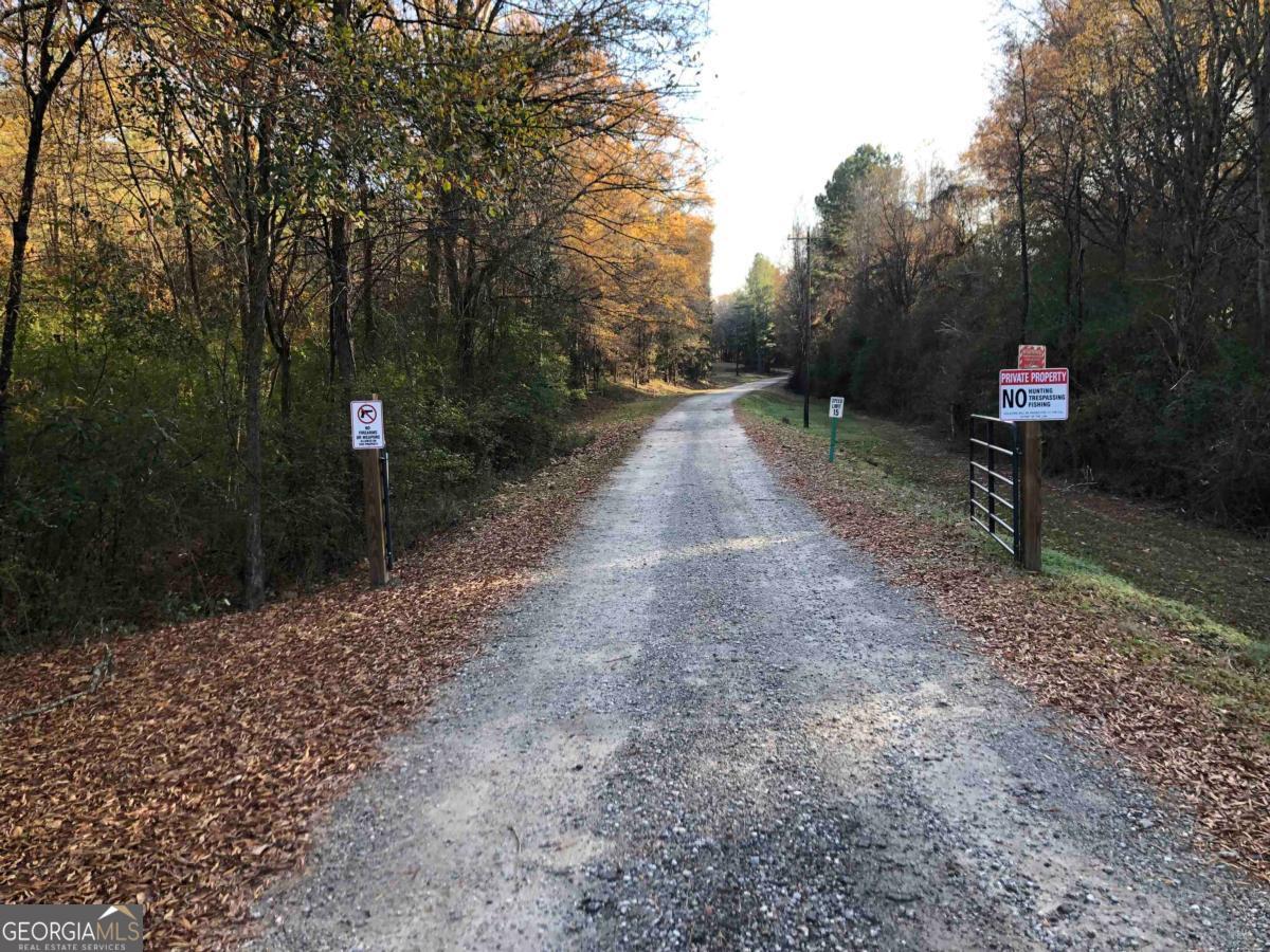 0 Monticello Road Eatonton, GA 31024 - Photo 1 of 15 a view of a forest with trees in front of it