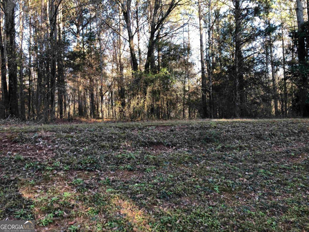 0 Monticello Road Eatonton, GA 31024 - Photo 11 of 15 a view of outdoor space with trees
