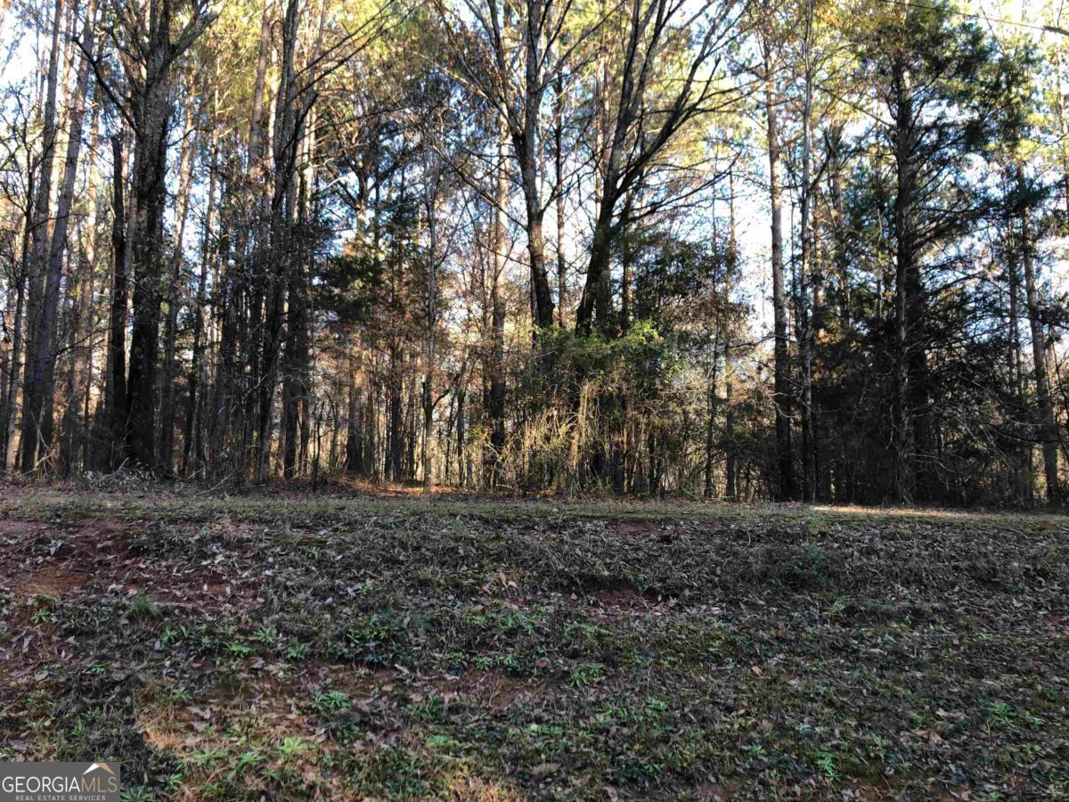 0 Monticello Road Eatonton, GA 31024 - Photo 12 of 15 a view of a yard with trees