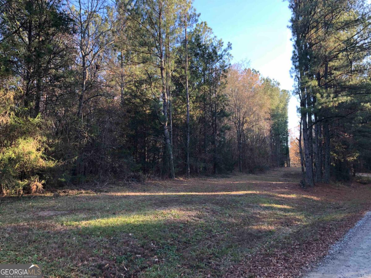 0 Monticello Road Eatonton, GA 31024 - Photo 13 of 15 a view of a yard with large trees