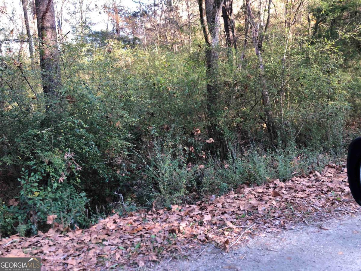 0 Monticello Road Eatonton, GA 31024 - Photo 14 of 15 a view of a yard with a tree