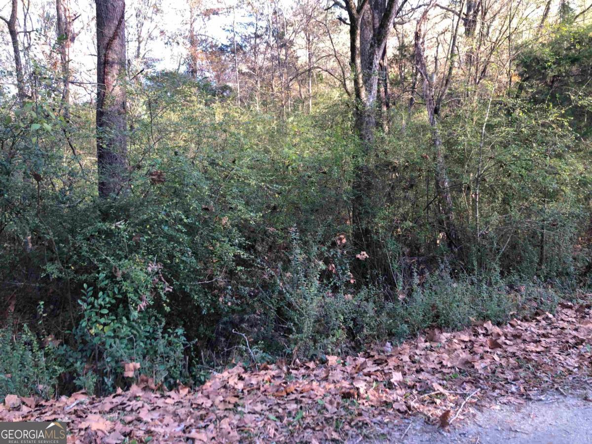0 Monticello Road Eatonton, GA 31024 - Photo 15 of 15 a view of a forest with trees