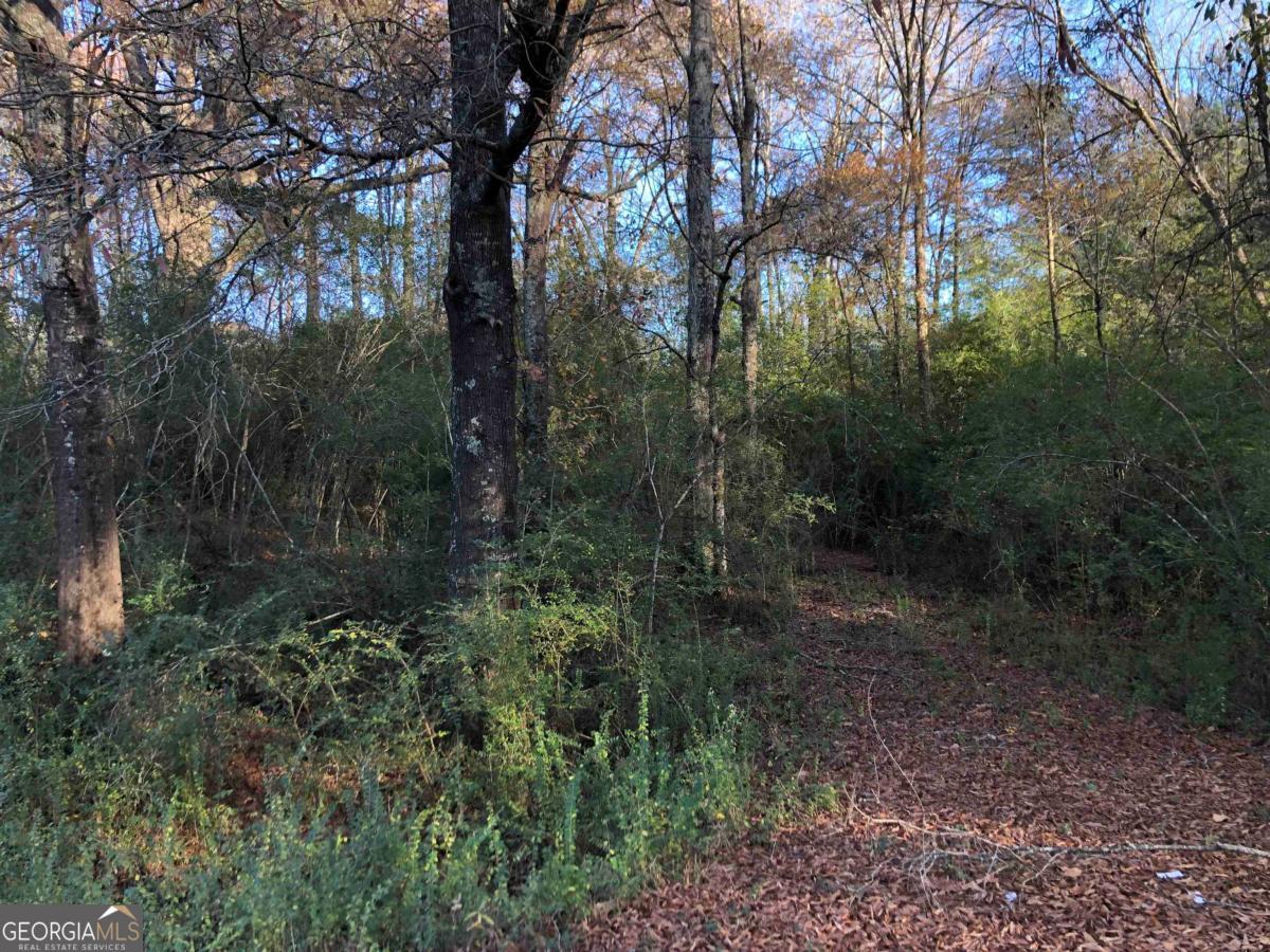 0 Monticello Road Eatonton, GA 31024 - Photo 2 of 15 a view of a forest with trees