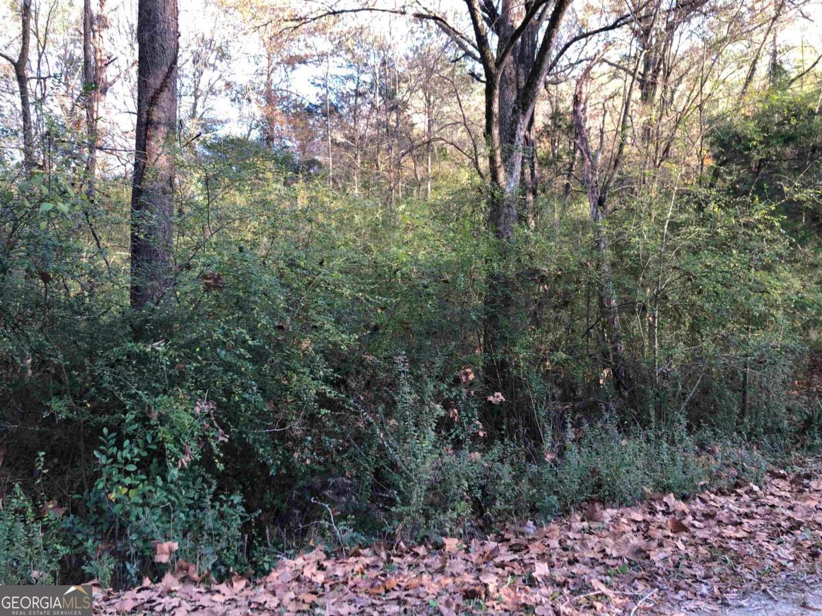 0 Monticello Road Eatonton, GA 31024 - Photo 4 of 15 a view of a forest with trees in front of it
