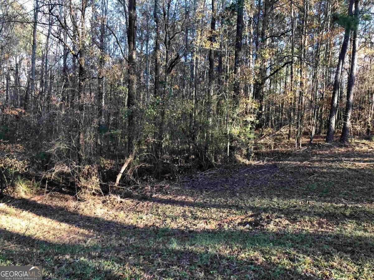 0 Monticello Road Eatonton, GA 31024 - Photo 6 of 15 a view of backyard space