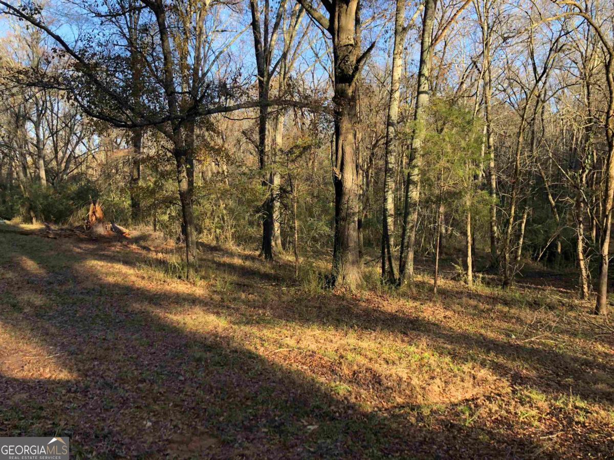 0 Monticello Road Eatonton, GA 31024 - Photo 10 of 15 a backyard of a house with lots of green space