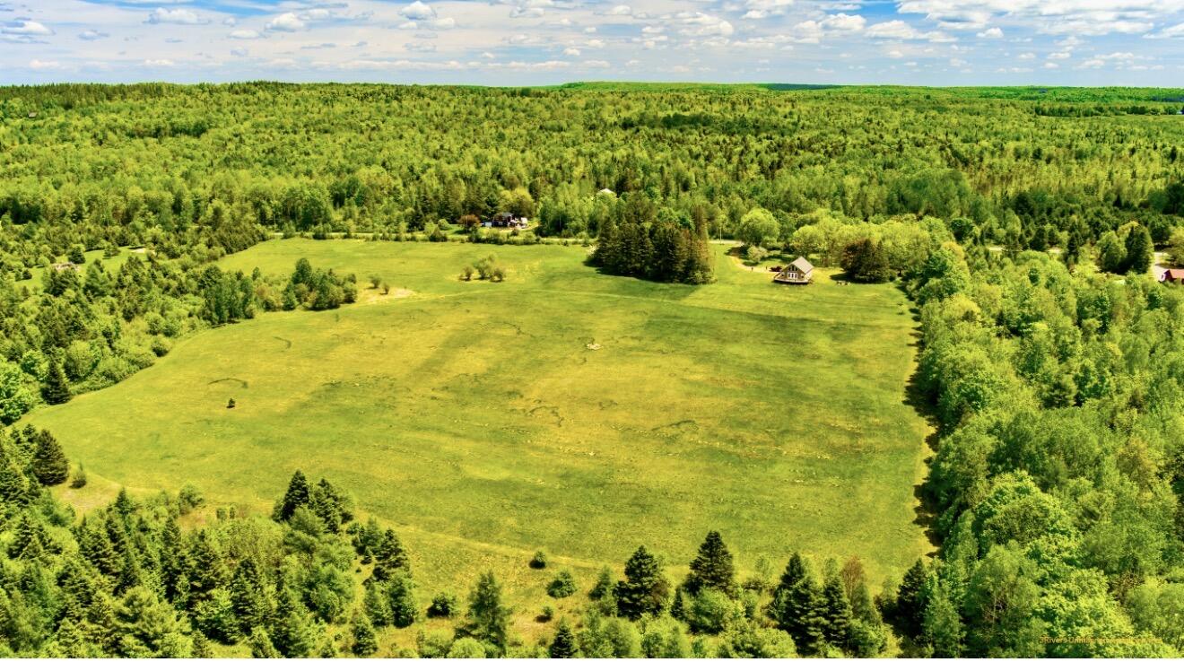 521 Gallison Road Sherman, ME 04776 - Photo 5 of 96 Open Fields