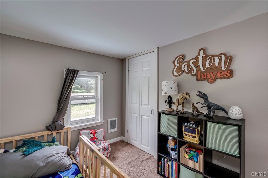 18365 Minkler Road Adams Center, NY 13606 - Photo 23 of 34