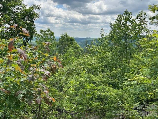 0 Azule Ridge Drive Bostic, NC 28018 - Photo 11 of 19