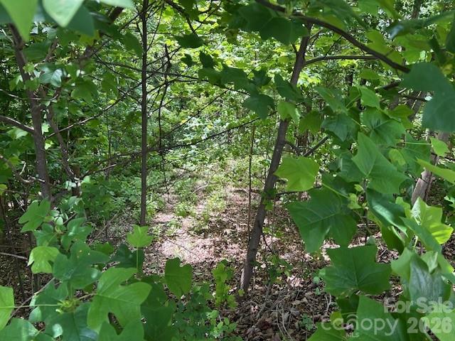 0 Azule Ridge Drive Bostic, NC 28018 - Photo 14 of 19