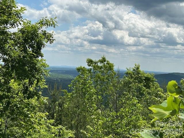 0 Azule Ridge Drive Bostic, NC 28018 - Photo 15 of 19