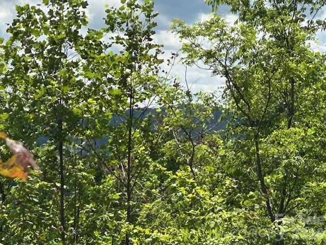 0 Azule Ridge Drive Bostic, NC 28018 - Photo 16 of 19