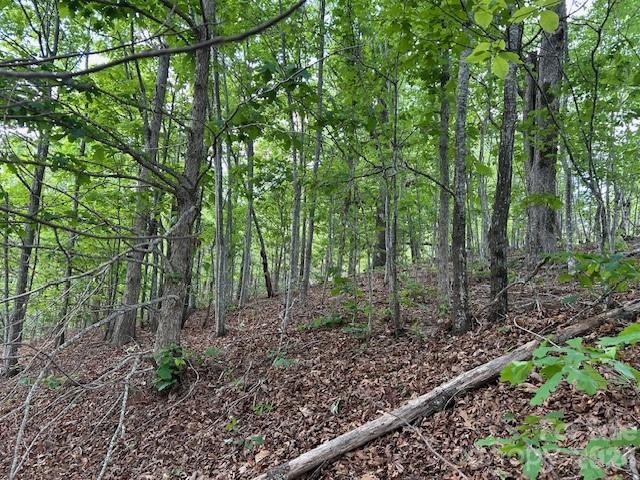0 Azule Ridge Drive Bostic, NC 28018 - Photo 5 of 19