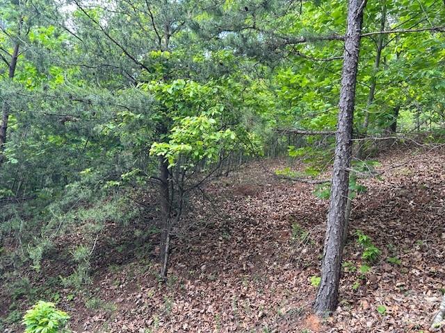 0 Azule Ridge Drive Bostic, NC 28018 - Photo 7 of 19