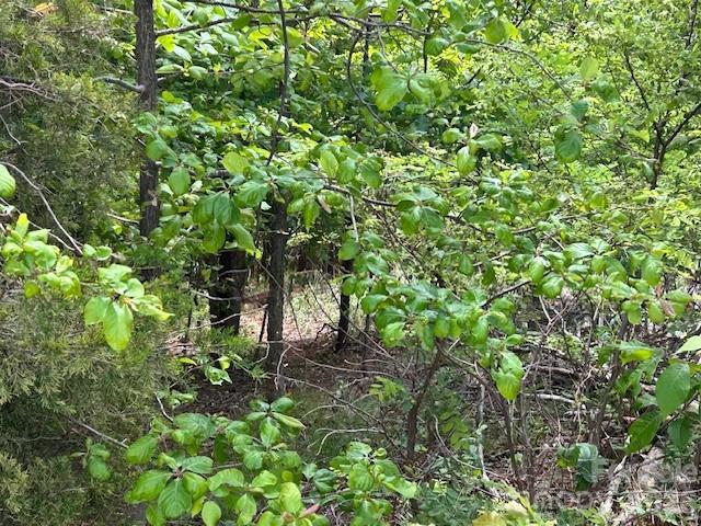 0 Azule Ridge Drive Bostic, NC 28018 - Photo 10 of 19
