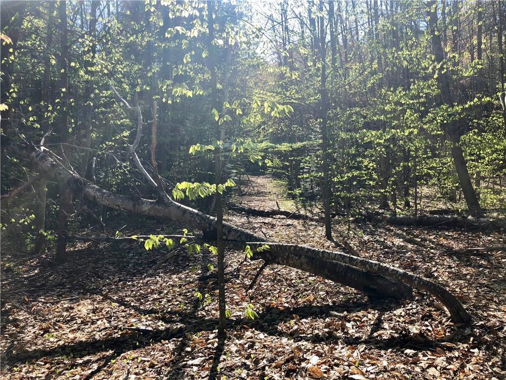 Lot 7 Zakelo Road Harrison, ME 04040 - Photo 13 of 21 Roughed in path on subject parcel;...