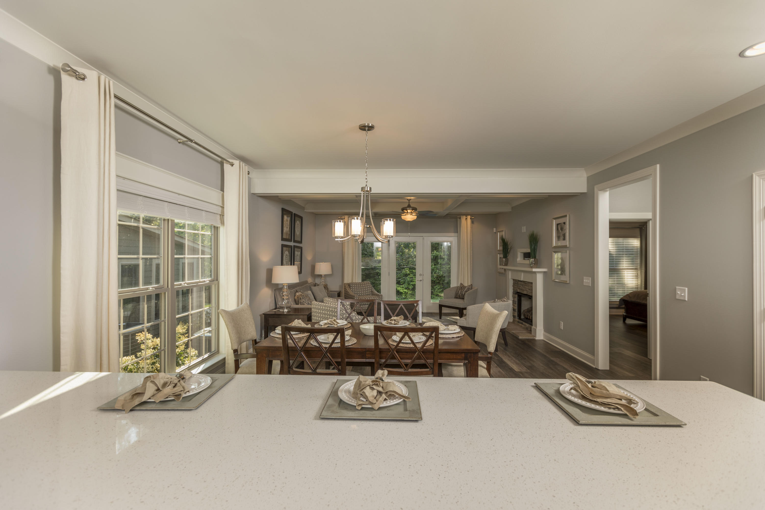2363 Rivendell Lane, Unit LOT 30 Chattanooga, TN 37421 - Photo 4 of 40 1H9A8956