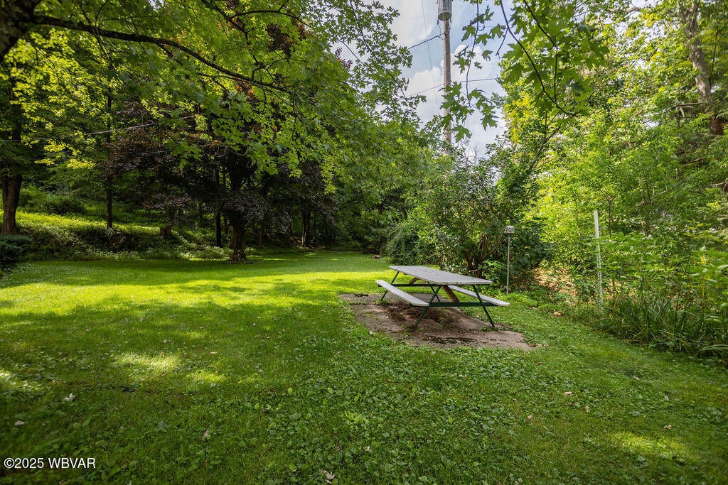 103 Fairman Road Muncy Valley, PA 17758 - Photo 20 of 33 Left Side Yard
