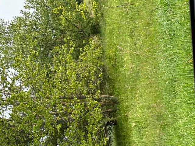 0 22 22 Mile Road Northwest Grant, MI 49327 - Photo 1 of 1