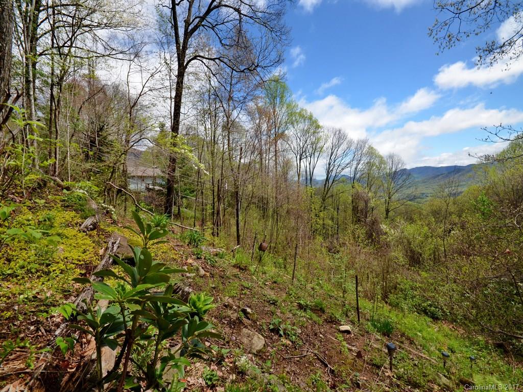 338 The High Road Waynesville, NC 28786 - Photo 19 of 19 a view of yard with green space