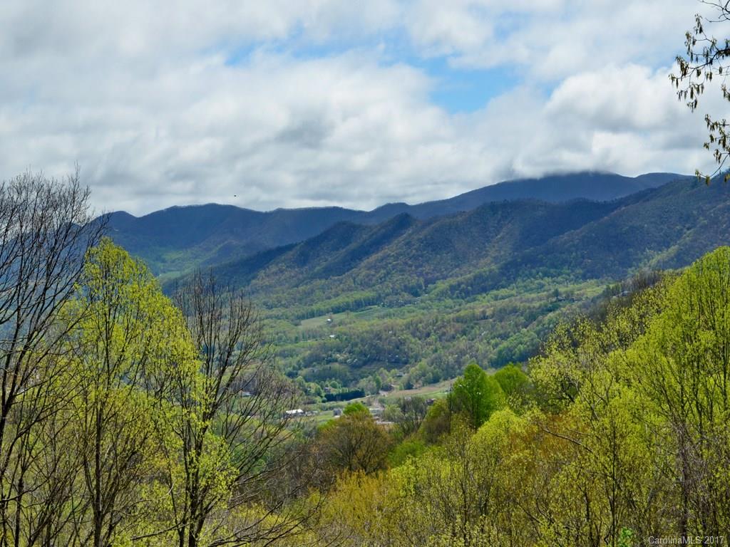 338 The High Road Waynesville, NC 28786 - Photo 6 of 19 a view of a lush green mountain